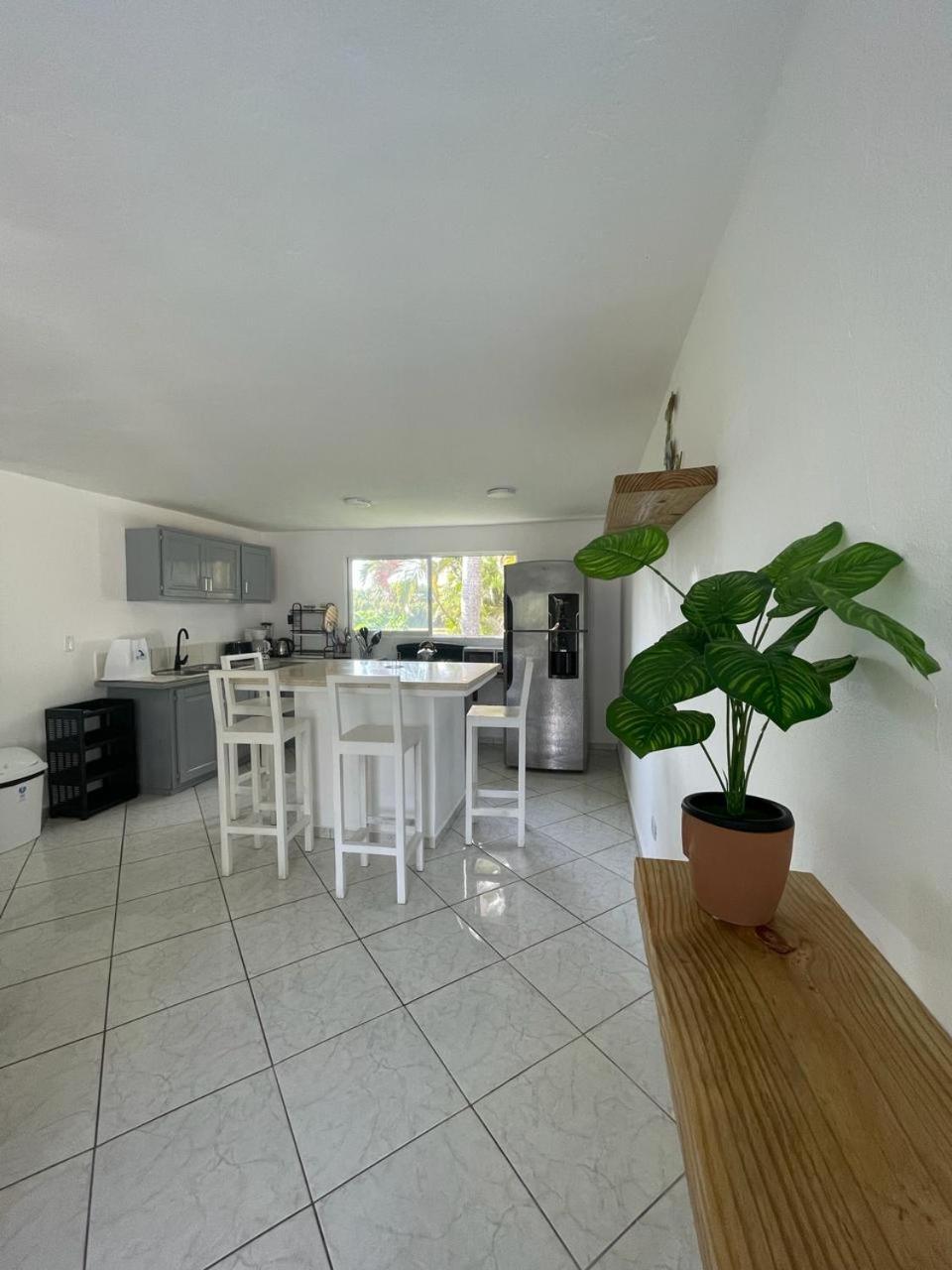 Aparthotel Hummingbird Cabarete Exteriér fotografie