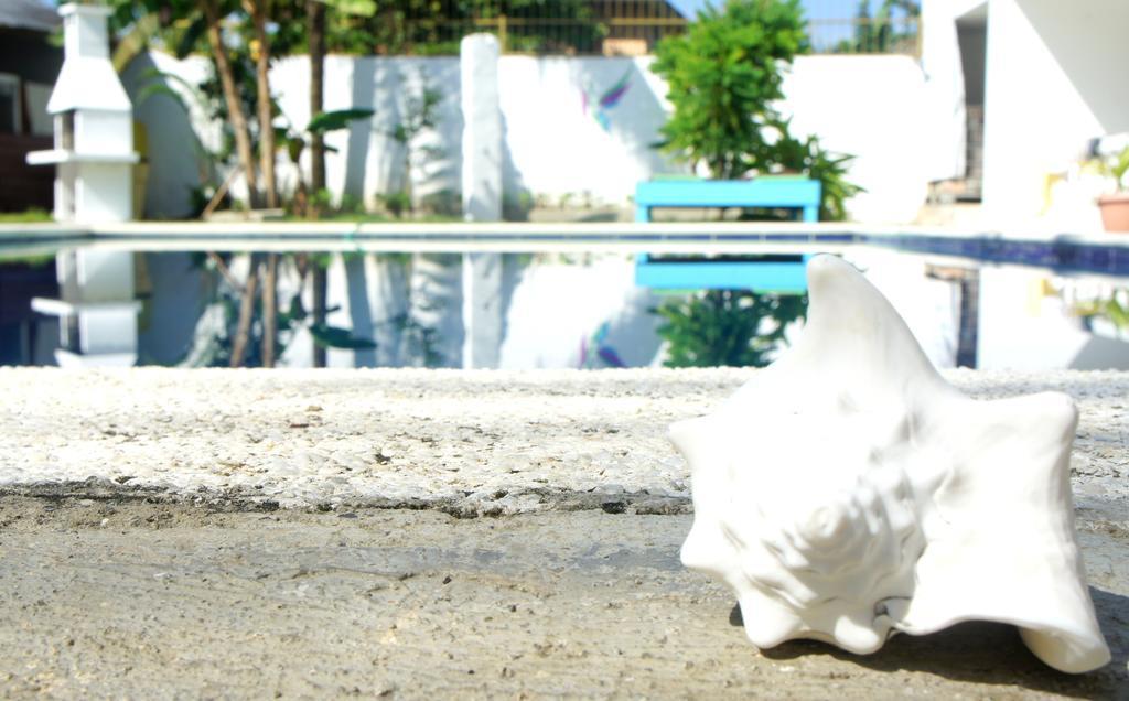 Aparthotel Hummingbird Cabarete Exteriér fotografie